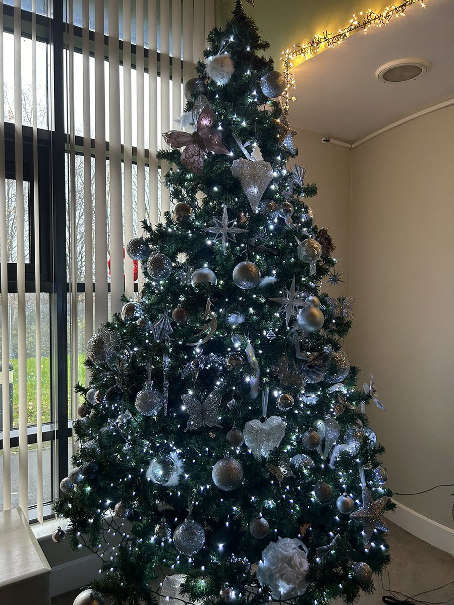 Amylowry💙 tweet media