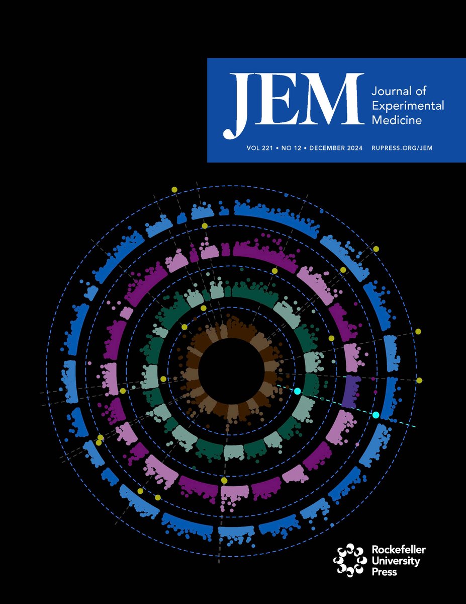 Rockefeller U. Press (@rockupress) on Twitter photo .<a href="/JExpMed/">Journal of Experimental Medicine</a> Dec. Issue: hubs.la/Q02ZCHTh0
<a href="/SanchoShimizu/">Vanessa Sancho-Shimizu</a> et al (hubs.la/Q02ZCKg10) found that certain rare genetic mutations in the BTNL8 gene are more common in children w/ MIS-C. Image shows Manhattan plot for all the constituent ancestral groups in the MIS-C cohort. .<a href="/JExpMed/">Journal of Experimental Medicine</a> Dec. Issue: hubs.la/Q02ZCHTh0
<a href="/SanchoShimizu/">Vanessa Sancho-Shimizu</a> et al (hubs.la/Q02ZCKg10) found that certain rare genetic mutations in the BTNL8 gene are more common in children w/ MIS-C. Image shows Manhattan plot for all the constituent ancestral groups in the MIS-C cohort.