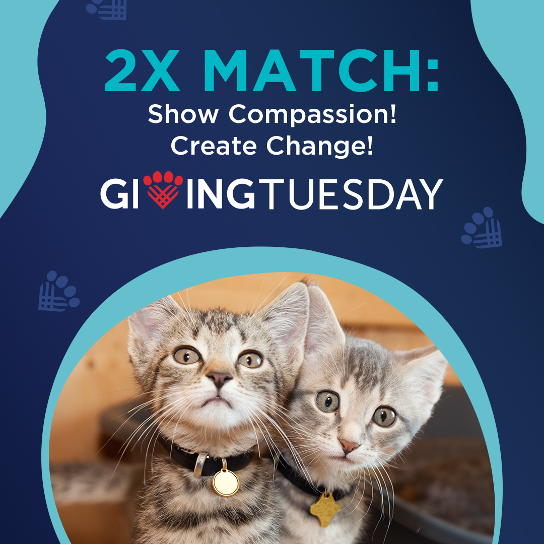 Giving Tuesday donations to Peggy Adams Animal Rescue League will be MATCHED to create a brighter future for cats and dogs in our community!

Donate through our Giving Tuesday page: peggyadams.org/6givingtuesday… to join our life-saving community of supporters and make twice the impact!