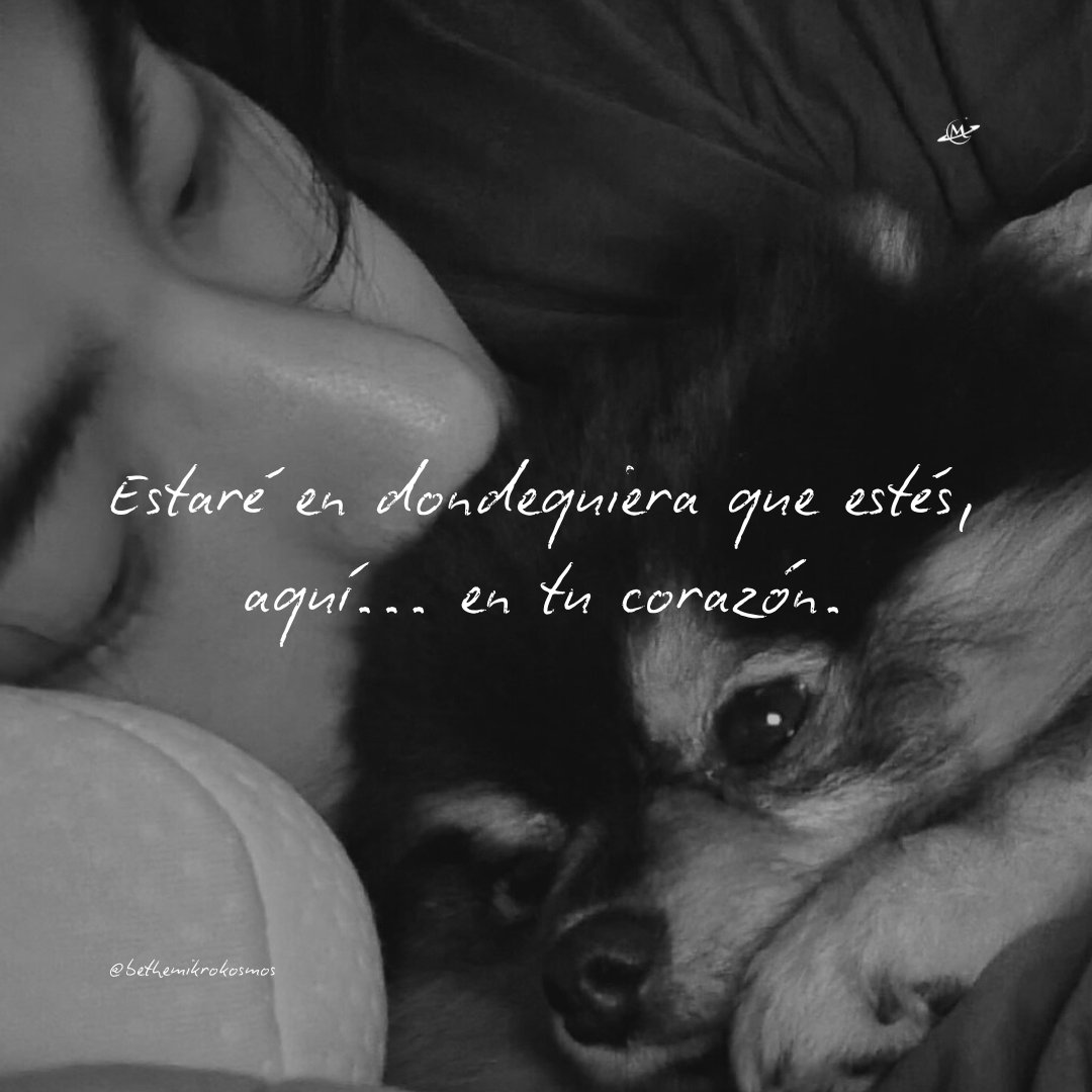 🕊🖤
Recordamos a Yeontan con mucho amor, que descanse en paz.