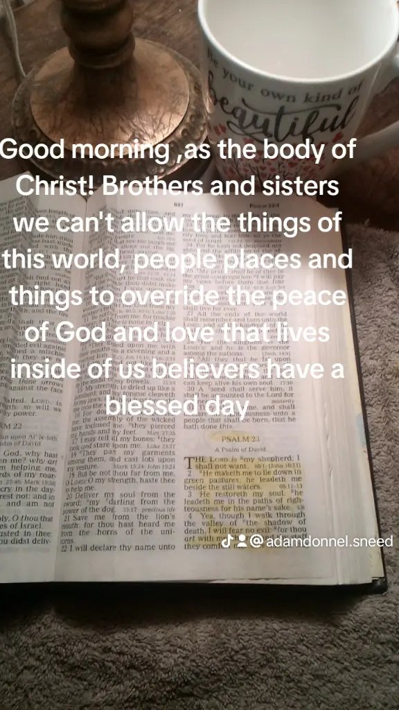 Adam Sneed (@sneedadam96183) on Twitter photo 