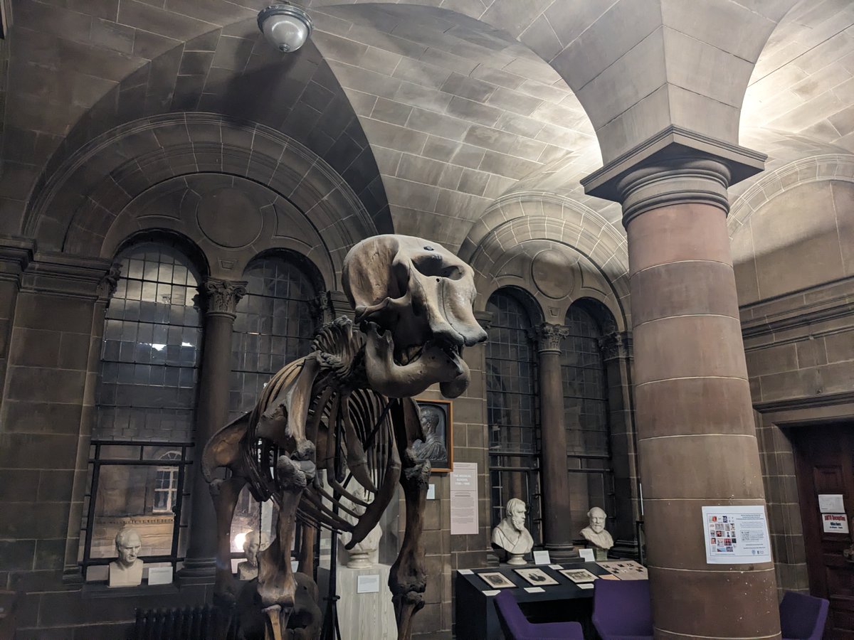 Jamie C. Weir (@jamie_c_weir) on Twitter photo Thanks again to everyone who came along last Thursday to hear <a href="/Sandy_Heth/">Sandy Hetherington</a>'s excellent talk for the <a href="/LinneanSociety/">The Linnean Society of London</a> here in #Edinburgh, at the Old Medical School.
Great to see such a big and enthusiastic turnout!
Stay tuned for more Linnean events hosted here in Edinburgh... 📻 Thanks again to everyone who came along last Thursday to hear <a href="/Sandy_Heth/">Sandy Hetherington</a>'s excellent talk for the <a href="/LinneanSociety/">The Linnean Society of London</a> here in #Edinburgh, at the Old Medical School.
Great to see such a big and enthusiastic turnout!
Stay tuned for more Linnean events hosted here in Edinburgh... 📻