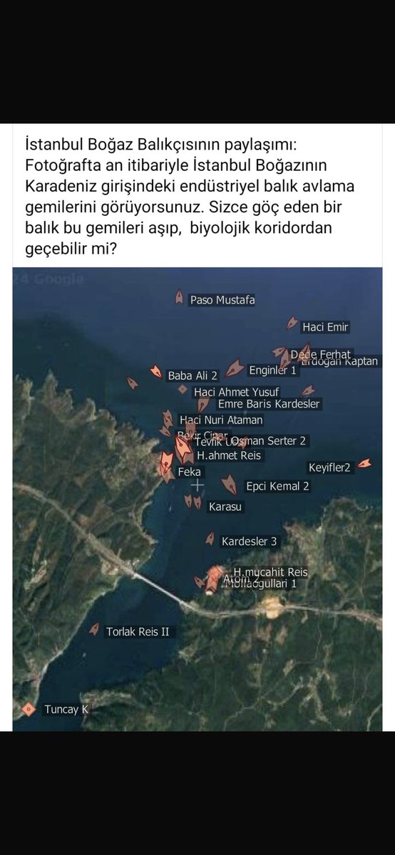 Yazıktır, günahtır.. Kendi ekmek kapınızı da, doğayı da, bütün balık türlerini de katlediyorsunuz.. ⁦<a href="/TCTarim/">T.C. Tarım ve Orman Bakanlığı</a>⁩