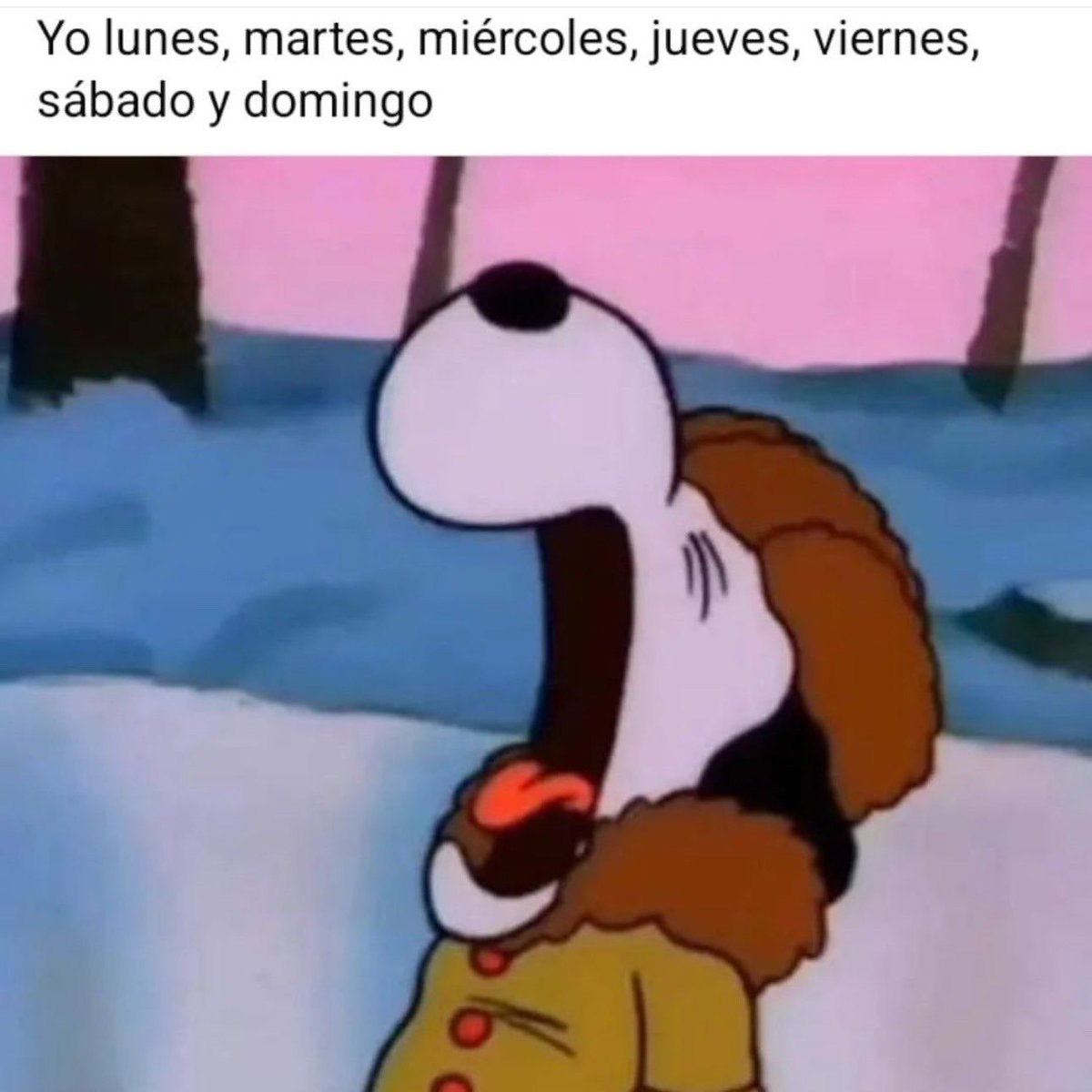 😫 #semana #dias #lunes #findesemana #snoopy #peanuts #cansado #trabajo  #responsabilidades #meme #geek #geekmemes #llorar #queja #memes, image size:1200x1200