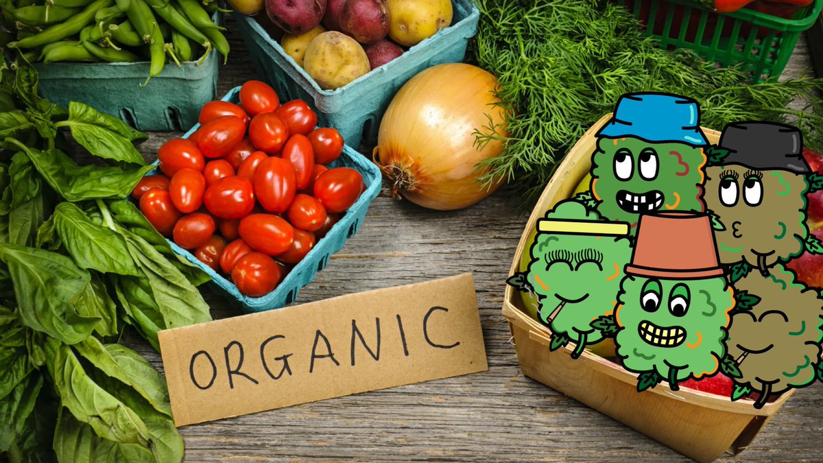Little Lettuce Monsters tweet media