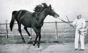 HORSERACING1002's tweet image. FLYING FOX 🇬🇧 1896
(ORME - VAMPIRE BY GALOPIN)#FlyingFox
B/ Eaton Stud 🇬🇧 1896
O/ Hugh Grosvenor 1st Duke of Westmister
T/ John Porter 
DISSAL 37,500 Gns
11-9-2-0---£40,095 
1899 Triple Crown Winner👑👑👑🇬🇧
Derby S, Jockey Club S, Princess of Wales S, Eclipse S, St Leger S, 2000