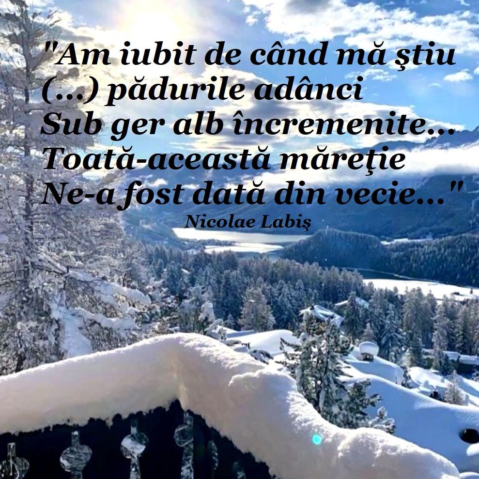 Virginia1Gina's tweet photo. Seară bună, Lume! ❄️✨❄️
"...S-au întunecat
Sensurile-n piept,
Dar o flacără
Mă cheamă acolo
Sub straturi de nea
Şi vreau să treacă
Liniştea mea."
Nicolae Labiş, 2 dec. 1935 - 22 dec. 1956
#WINTER #quotesdaily #December2th #Romania https://t.co/wRi8ono4Rq