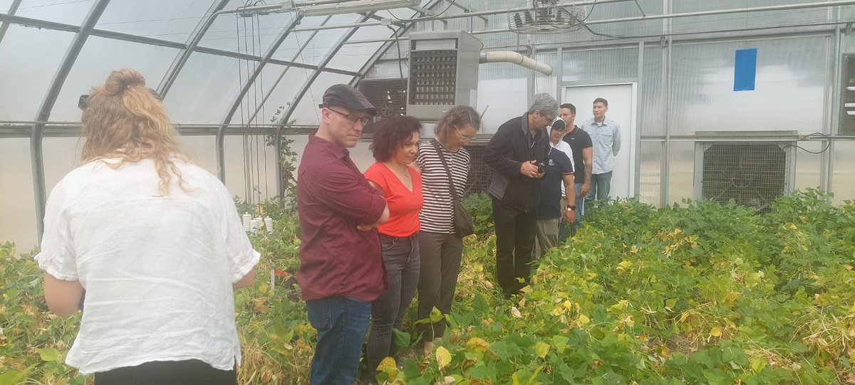 CGIARbreeding's tweet photo. ๐ฑIndependent breeding program assessments are key to boosting efficiency
The BPAT team of @UQ_News & #AcceleratedBreeding evaluated @Cipotato & @BiovIntCIAT_eng breeding programs, aligning efforts to close gaps & reduce duplication. Congrats to them on modernizing programs!๐ https://t.co/jLl6WGfwWj