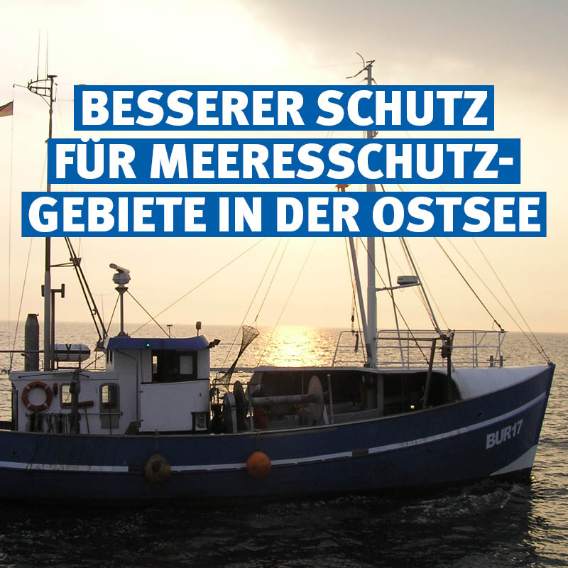 🌊🎣  Ein Fortschritt für den #Meeresschutz und nachhaltige #Fischerei in der Ostsee! 

Die erweiterten Regulierungen der #Grundschleppnetzfischerei in den Meeresschutzgebieten der Ostsee sind ein großer Schritt in die richtige Richtung – sowohl für den Erhalt der biologischen