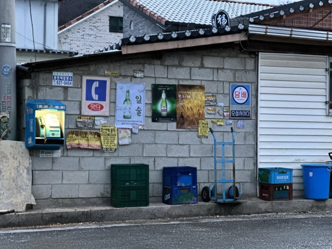 다참마을. 그 저주의 공간들 #태저풀