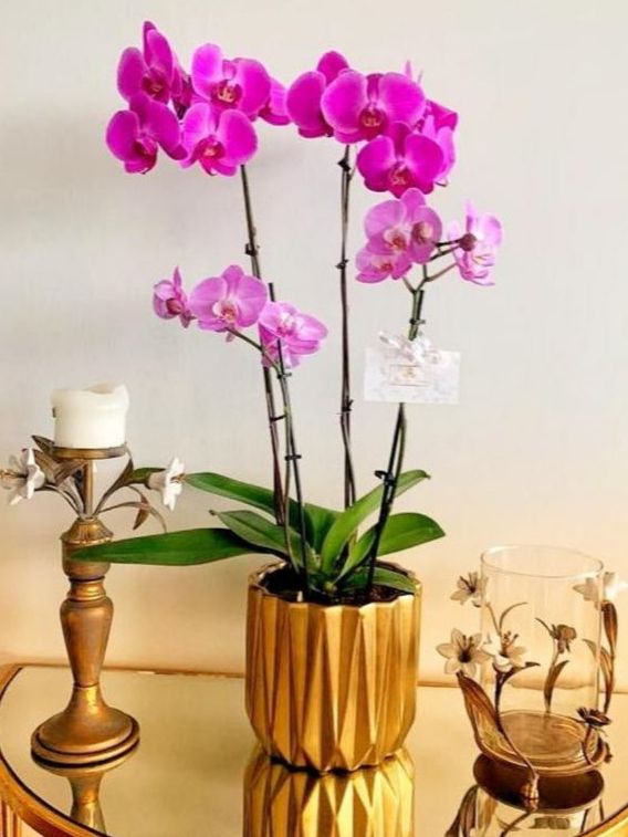 boxdesfleurs's tweet photo. Black Friday- Cyber Monday Weekend Sale! | Box des Fleurs - https://t.co/2RRcfTe0Me https://t.co/hHu3J3iO6e