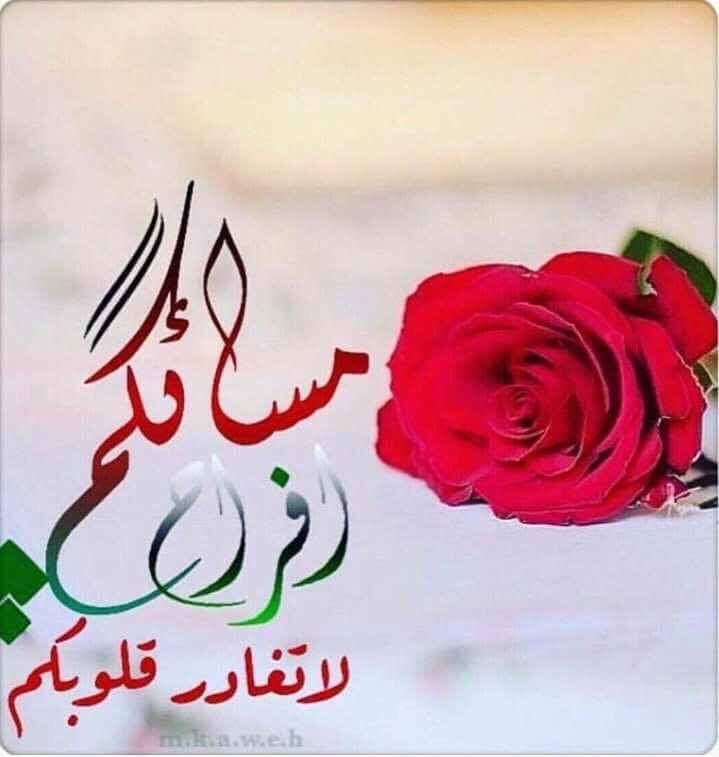 من أروع وأغلى مكاسب العمر..!!
حينما تقف ذاكرتگ بمحطات لأسماء عزيزة على 
قلبگ تكتشف يوماً بعد يوم أنهم كنوز تبقيهم في 
رصيد حياتگ ..🦋🩶