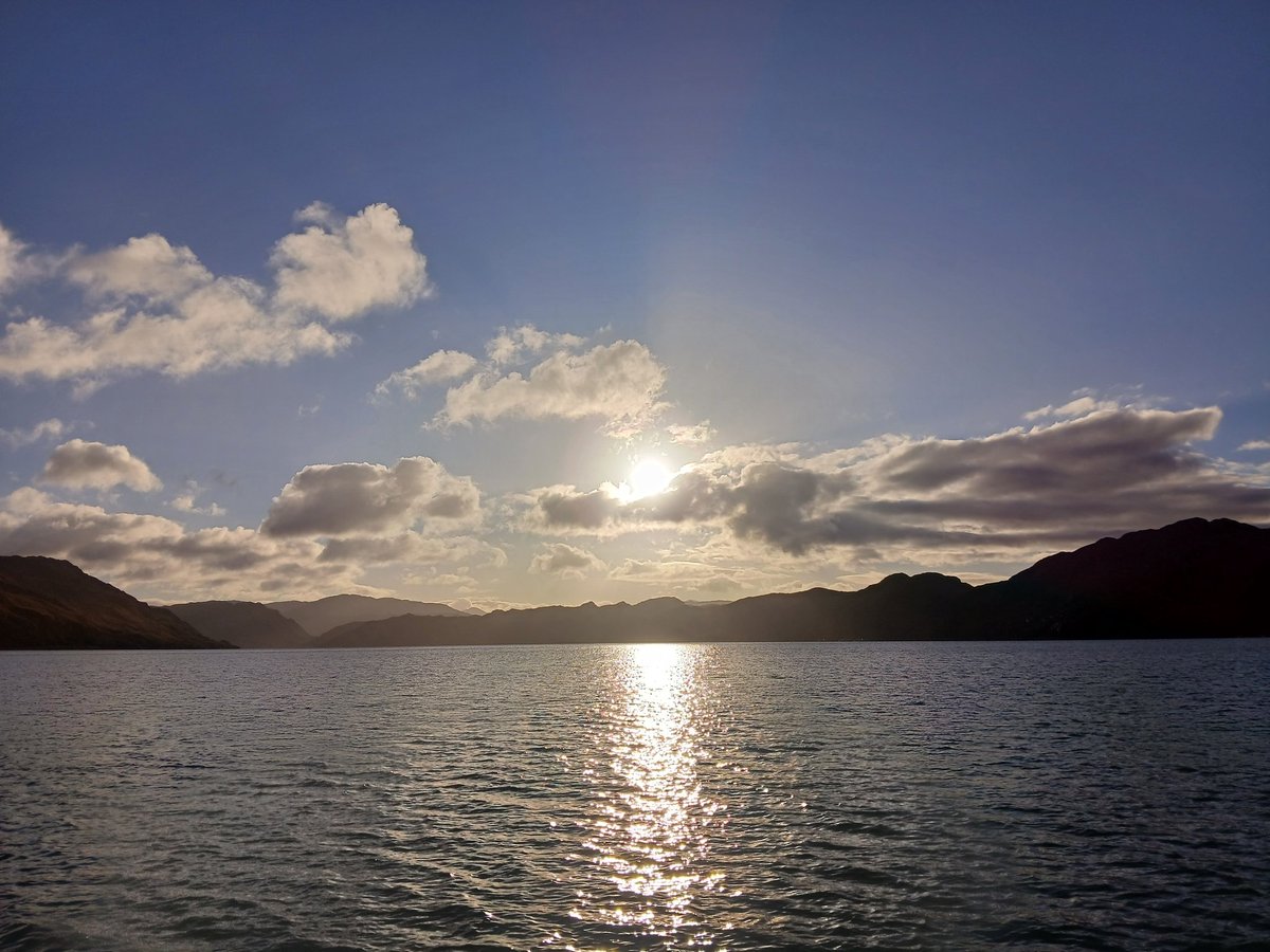 Dr Kate Vigurs FRhistS tweet media