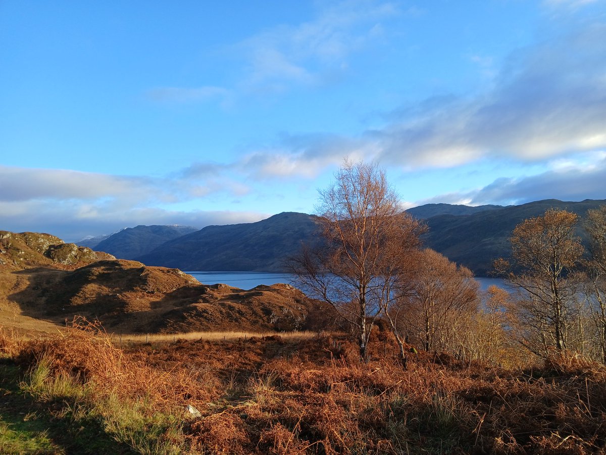 Dr Kate Vigurs FRhistS tweet media