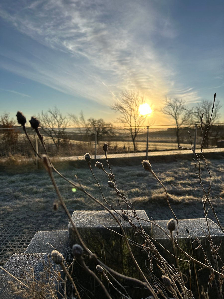 A beautiful frosty view from The Sill's roof to brighten up your day. Come pay us a visit this winter to capture gorgeous scenery like this accompanied by a hot drink to keep you warm.