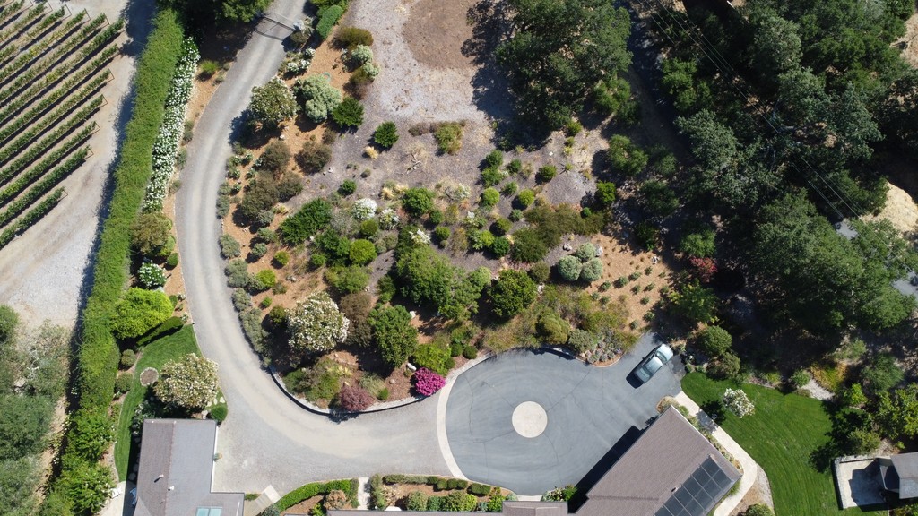 Laura Bassett tweet media