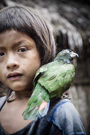 🌍📸 Tropic Ice – Ein kraftvolles Fotobuch, das den Klimawandel mit persönlichen Geschichten und kraftvollen Bildern sichtbar macht. Noch bis zum 5. Dezember unterstützen! 👉lilligreen.de/tropic-ice-ein… #Klimawandel #Klimakrise #TropicIce #Crowdfunding #Fotografie #Umweltschutz