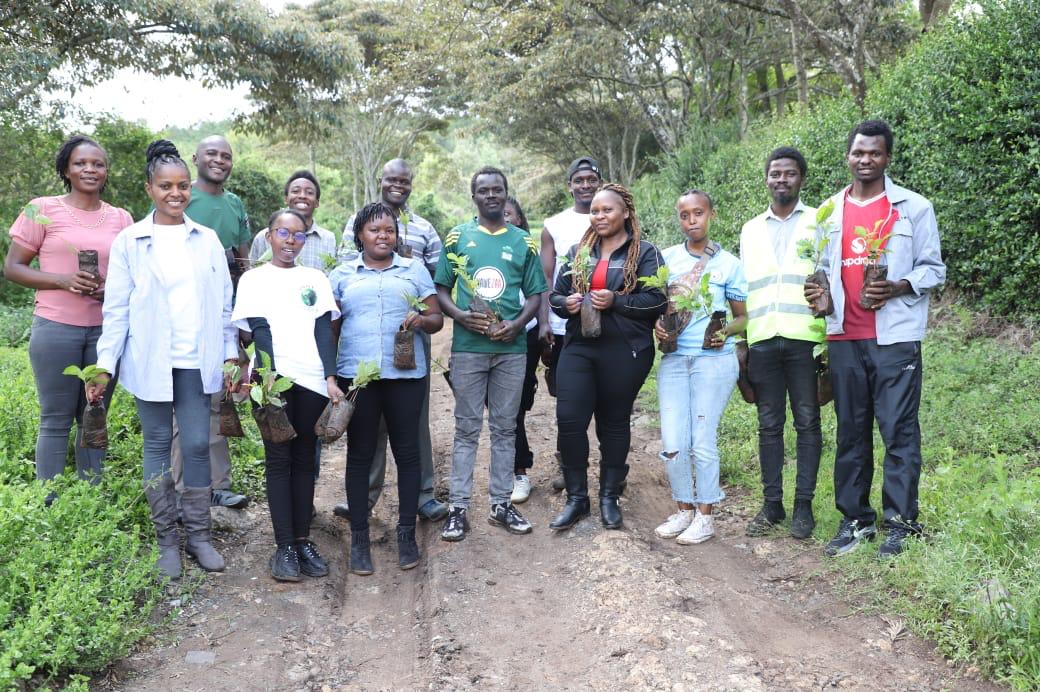 _UoNEC's tweet image. Meet the class of 2024 which took part in the launch of UoN Graduates&apos; Tree Growing Initiative on Saturday 30/11/2024. Great job was done here courtesy of @TheIEK and @KNECKenya. We planted 520 trees at UoN Ngong&apos; Forest.
#GraduationTrees
#TreesforLife
#LegacyTrees