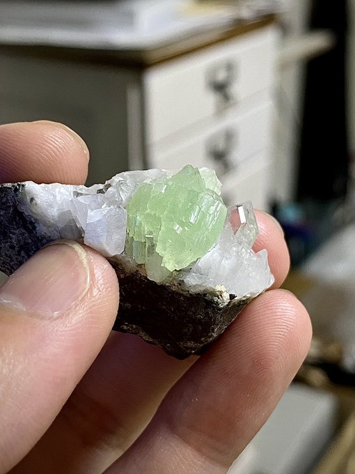 🇳🇦ぶどう石
Ca2Al2Si3O10(OH)2

ぶどう石といえばマリ🇲🇱産の丸々とした物が有名だけど、今回はナミビアの標本を購入
しっかりと結晶の形が現れていて、明るいパステルグリーンと母岩の白とのコントラストも美しい
共生してる水晶も非常にクリアで、一粒で二度美味しい 