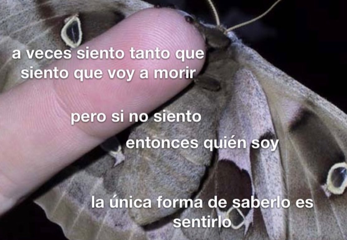 conoloracigarro's tweet photo. https://t.co/wtJubNCtAq