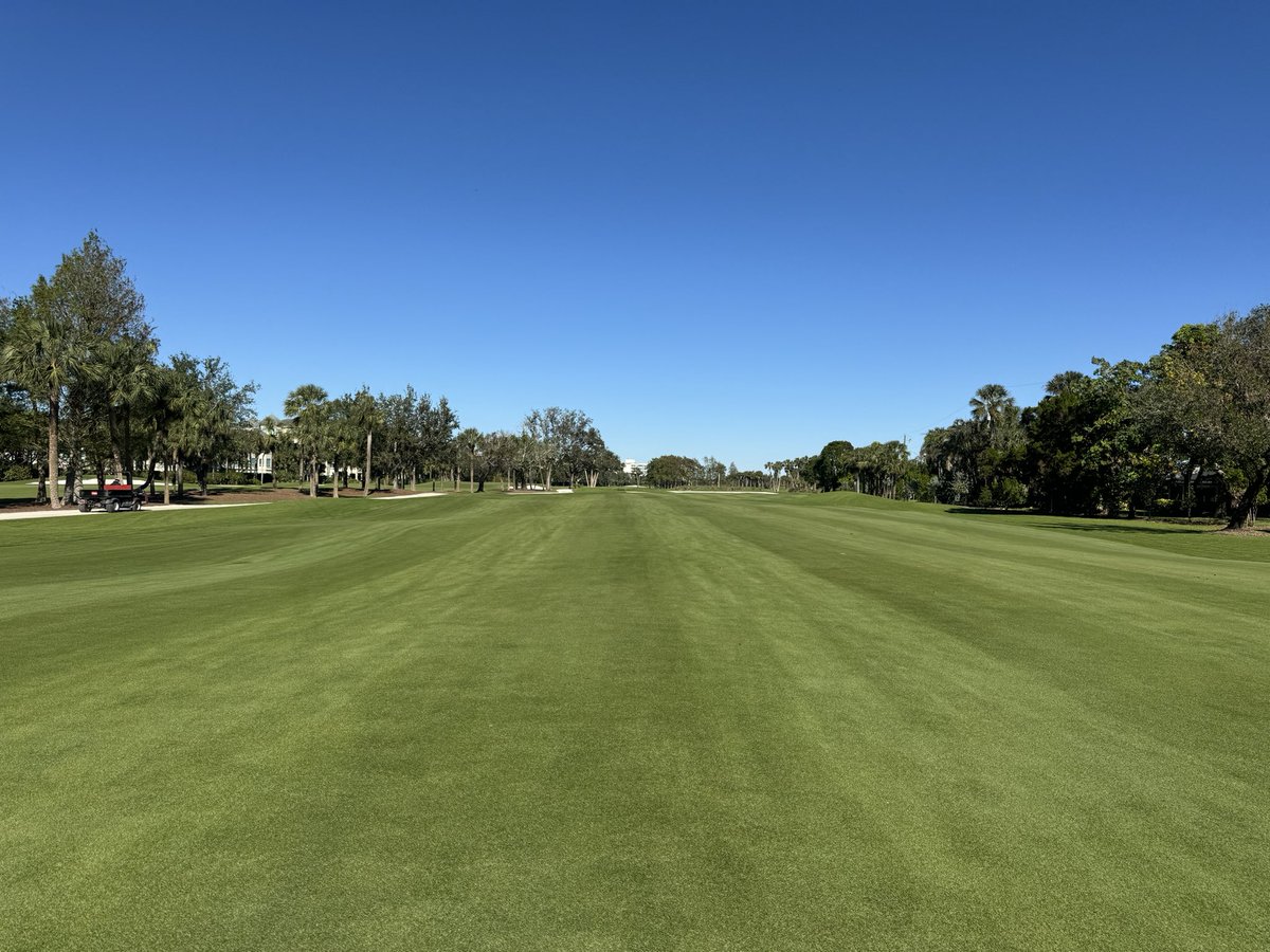 Platinum is holding incredible color in the cold weather. #brazilianbent