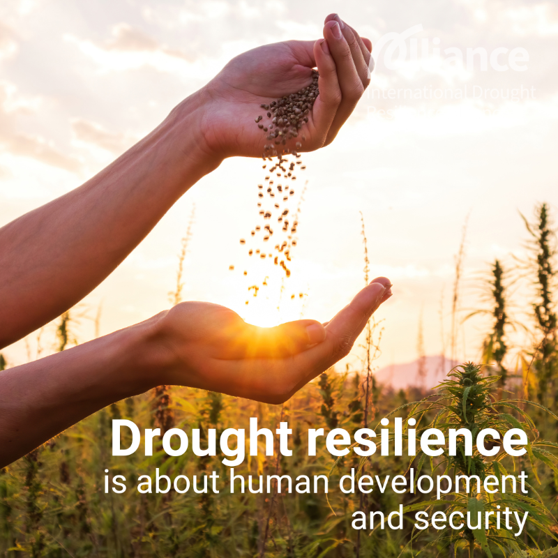 UNUEHS's tweet photo. #DidYouKnow?

The new World Drought Atlas was launched yesterday at #COP16Riyadh!

This publication serves as a wake-up call, offering insights into the stark realities of drought and calling for urgency in our response!

Find out more: https://t.co/7EPqrr05aO

#UNited4Land