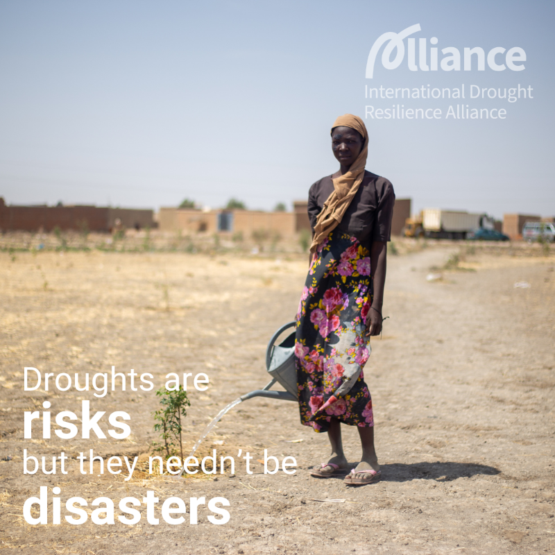 UNUEHS's tweet photo. #DidYouKnow?

The new World Drought Atlas was launched yesterday at #COP16Riyadh!

This publication serves as a wake-up call, offering insights into the stark realities of drought and calling for urgency in our response!

Find out more: https://t.co/7EPqrr05aO

#UNited4Land