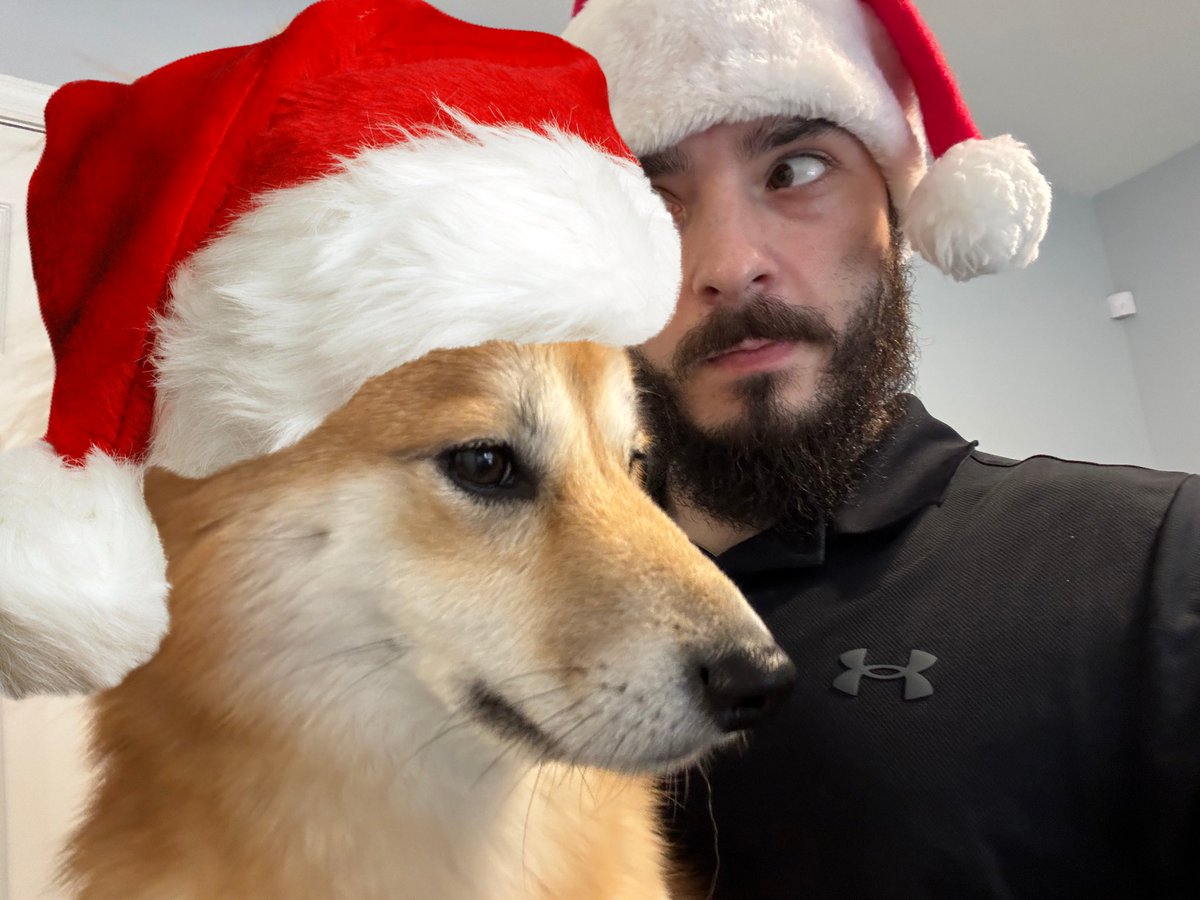 projectevolve_'s tweet photo. 🎄 Ready for the Fitness Countdown to Christmas? 💪

👇 Comment "COUNTDOWN" below! 👇

The holidays are BUSY, but your fitness doesn’t have to take a backseat. https://t.co/eV4m9xSkSc