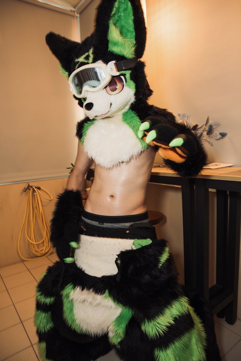 沃爾夫 & 幻幻小龍 🔜 2026 UTFG🇹🇼 tweet media