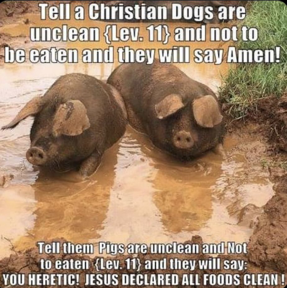 mat71314's tweet image. Isa 66:17 They that sanctify themselves, and purify themselves in the gardens behind one tree in the midst, eating swine's flesh, and the abomination, and the mouse, shall be consumed together, saith the LORD.