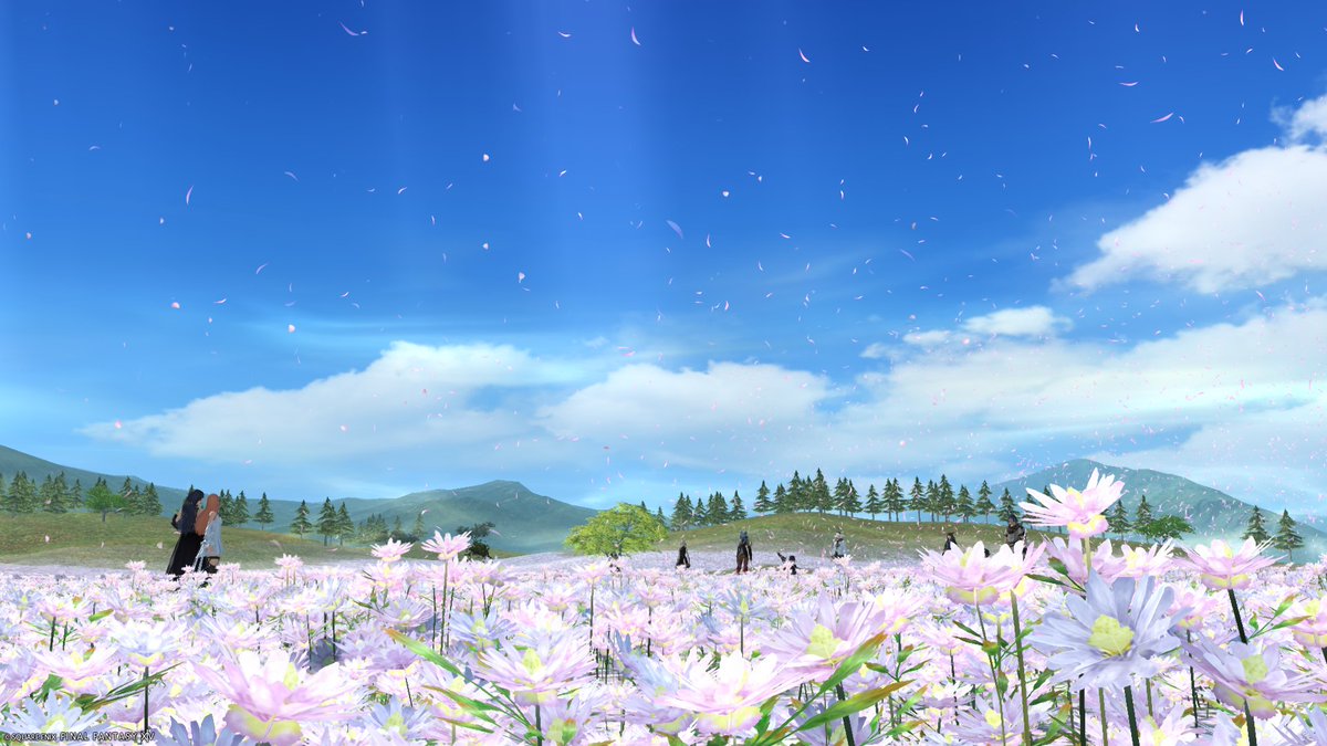 このみん tweet media