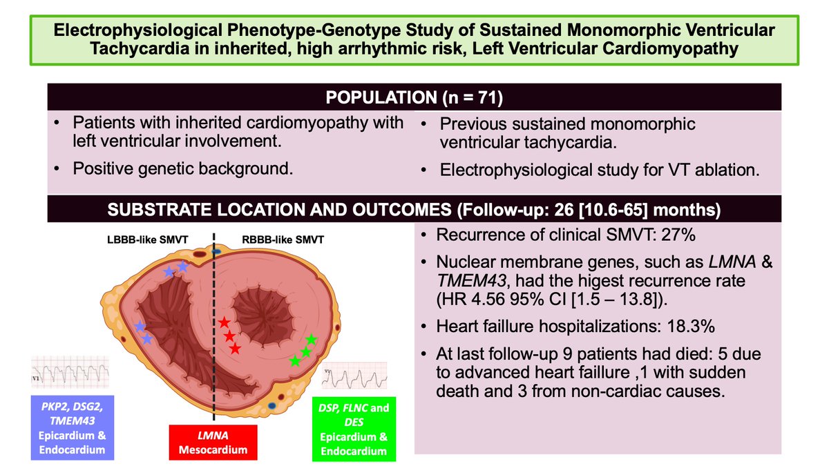 CircEP (@circulationep) on Twitter photo Genotype is a key factor in SMVT location, morphology, and recurrence in left-sided inherited cardiomyopathies #AHAJournals #Epeeps @LuisRLopesDr <a href="/VictorCastroUrd/">Victor Castro Urda</a> <a href="/ivroca/">Ivo Roca, FEHRA, FESC</a> <a href="/rbarvil/">Roberto Barriales-Villa</a> <a href="/ASaguner/">Ardan M. Saguner, MD</a> <a href="/MoisesManero/">Moises Rodriguez Mañero</a>
<a href="/xenux88/">JM Larrañaga</a> <a href="/gasperettimd/">Alessio Gasperetti, MD PhD</a> <a href="/CompagnucciMd/">Paolo Compagnucci MD PhD FEHRA</a>
doi.org/10.1161/CIRCEP… Genotype is a key factor in SMVT location, morphology, and recurrence in left-sided inherited cardiomyopathies #AHAJournals #Epeeps @LuisRLopesDr <a href="/VictorCastroUrd/">Victor Castro Urda</a> <a href="/ivroca/">Ivo Roca, FEHRA, FESC</a> <a href="/rbarvil/">Roberto Barriales-Villa</a> <a href="/ASaguner/">Ardan M. Saguner, MD</a> <a href="/MoisesManero/">Moises Rodriguez Mañero</a>
<a href="/xenux88/">JM Larrañaga</a> <a href="/gasperettimd/">Alessio Gasperetti, MD PhD</a> <a href="/CompagnucciMd/">Paolo Compagnucci MD PhD FEHRA</a>
doi.org/10.1161/CIRCEP…
