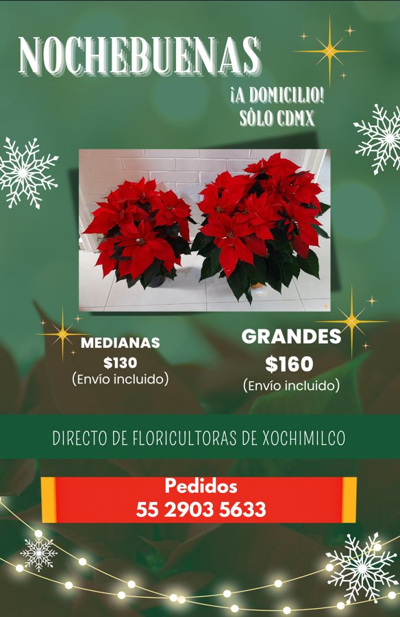 ¡Ya es diciembre! #Nochebuenas del campo xochimilca, directo de productoras y de comercio justo. ¿Qué más? ¡A DOMICILIO! Hagan sus pedidos para que llenen su casa de color en estas fiestas.