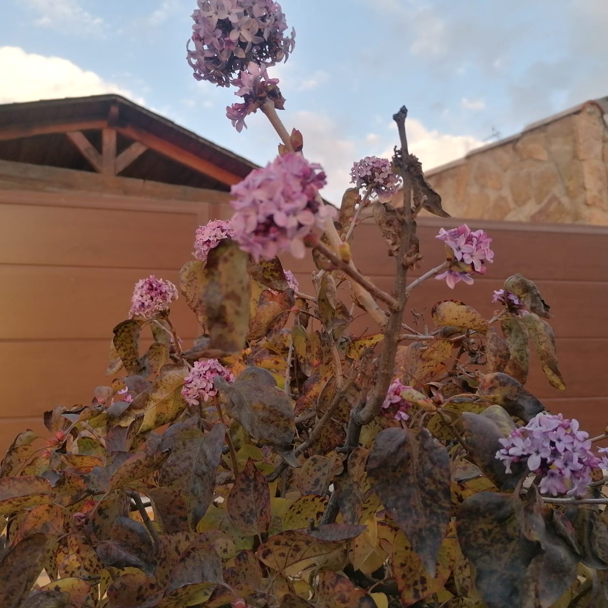 Angel Sanz Villalba tweet media