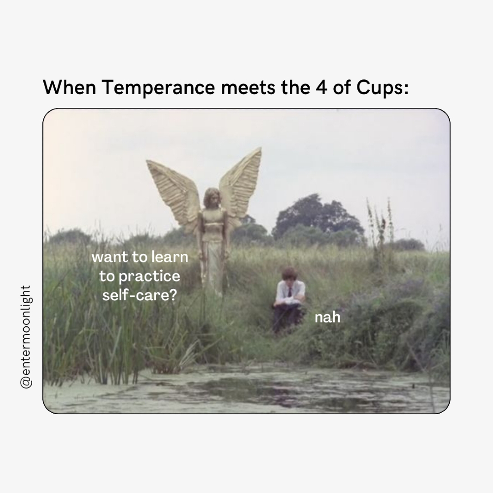 Moonlight tweet media