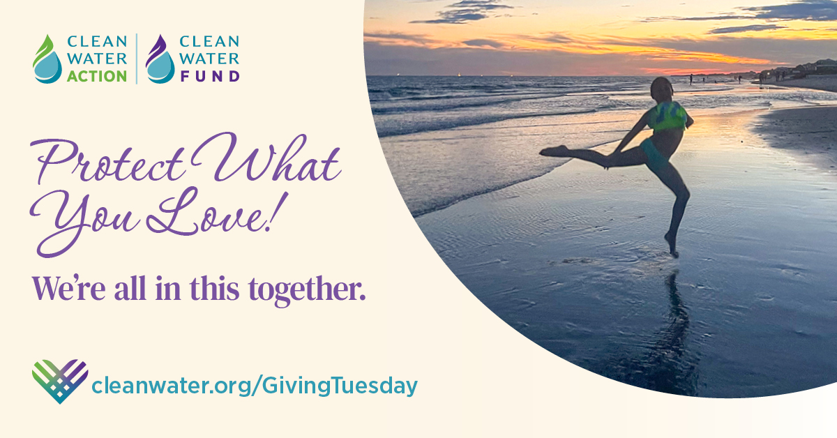 Be an early bird this year! Make your #GivingTuesday donation now and help Clean Water Fund protect what you love.

#ProtectCleanWater now and for future generations ❤️💧 cleanwater.org/GivingTuesday
