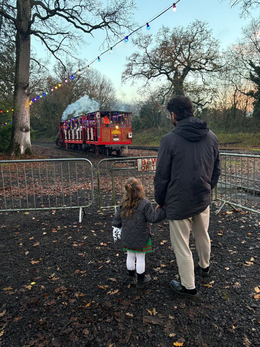 Stradbally Woodland Railway tweet media