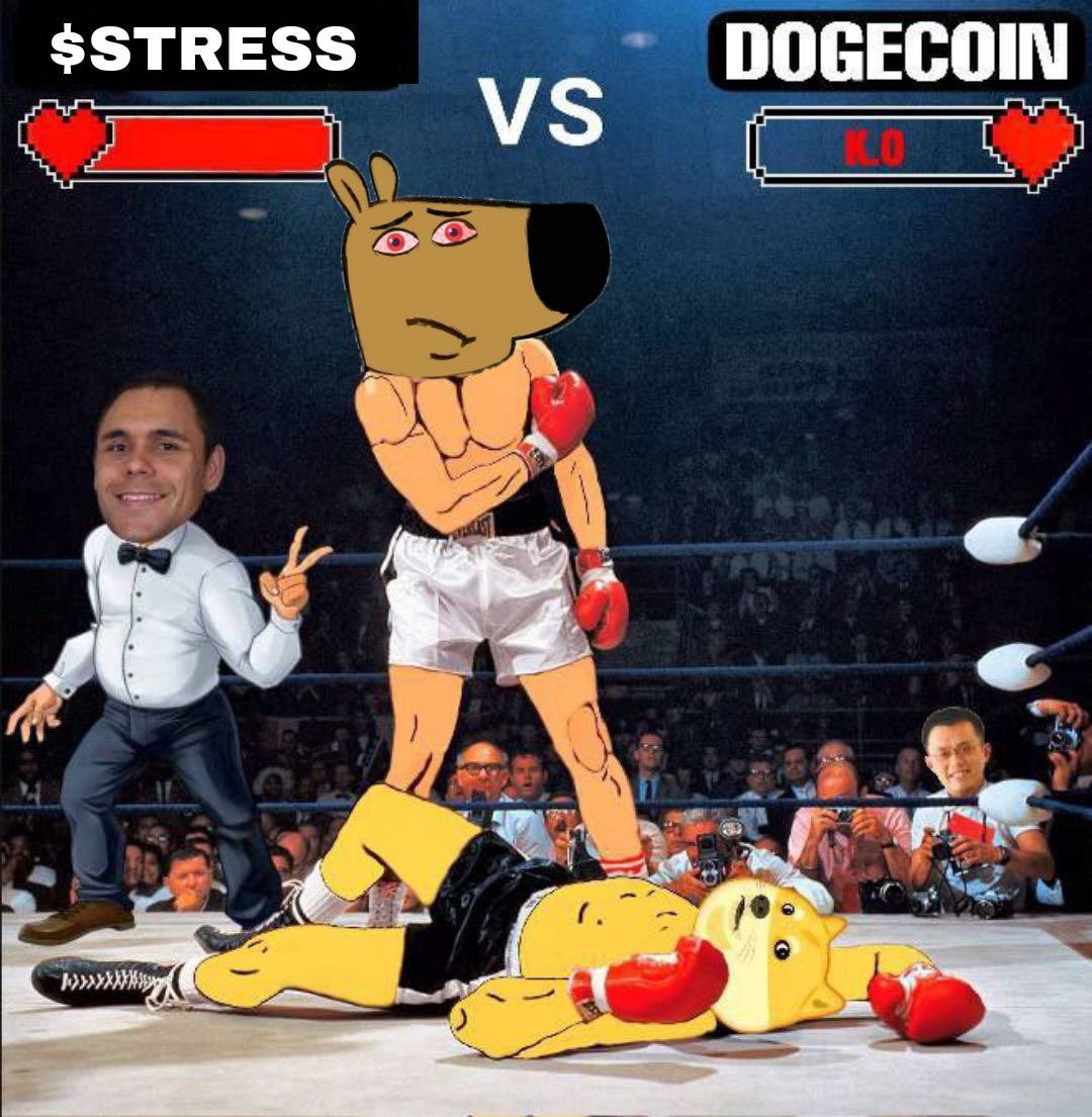 stressedguy tweet media