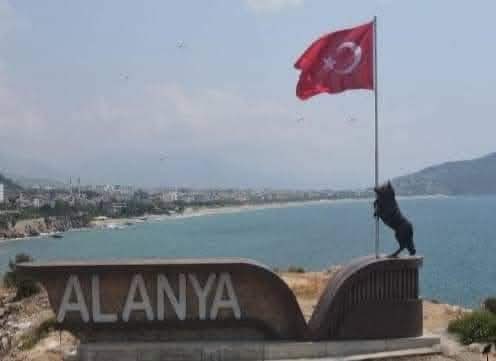 TURKINFORM tweet media