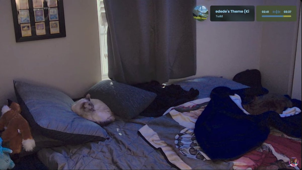 n3rddoom's tweet photo. I know it's awful to go back to work after a holiday. At least enjoy some chill music and our cats to help get through the day. 🐱💓😺 
https://t.co/KLMVvFAcIW
#catstream #warmkitty #chillmonday https://t.co/L1k8UPpM9I