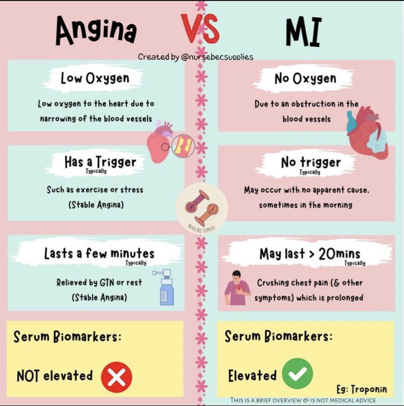 الاثنين يسببوا الم بالصدر، ولكن واحده تعتبر حاله خطيره جدا و الثانيه عاديه. خلنا نشرح الفرق بين الأنجينا (Angina) والجلطة القلبية (Myocardial Infarction - MI):

الأكسجين والدم للقلب
- Angina (الأنجينا): تخيل قلبك "يتنفس" لكن بصعوبة لأن الشرايين اللي تمده بالدم ضاقت شوي. الأكسجين