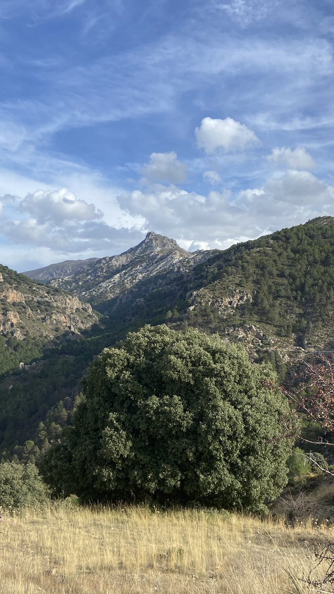 Samuel_MR17's tweet photo. Unas fotos de la tarde desde el entorno de la Fuente del Hervidero, con buenas vistas al Trevenque, los Alayos, cumbres de Sierra Nevada y #Granada https://t.co/G9KSOs1cvI