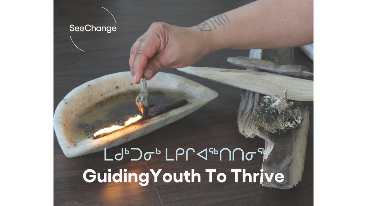 SeeChange Initiative tweet media