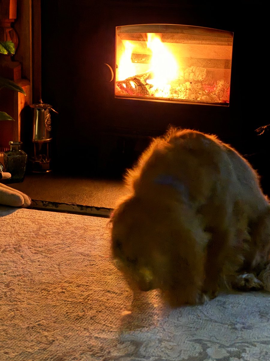 Nothing like a roaring fire after an early morning at work!!!