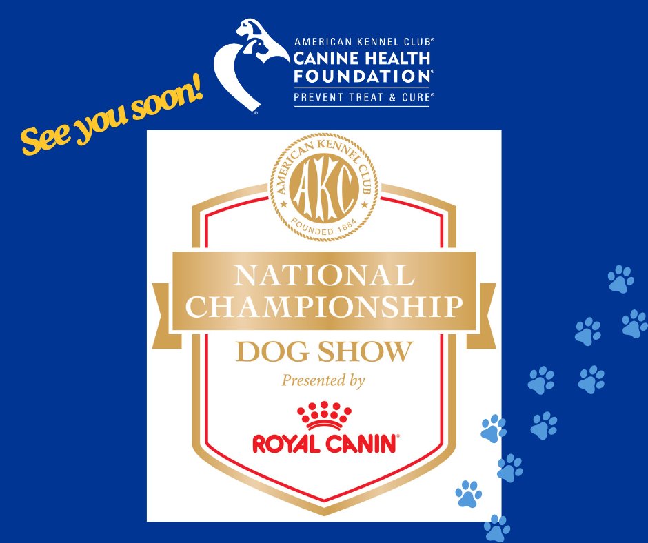 Pack your bags and unleash your love for dogs! 🐾 Orlando is calling for a fantastic week at the 2024 AKC National Championship! 🐕 And don't miss the chance to learn about important CHF-funded canine health research. See you on December 10-15! bit.ly/46xAxmT