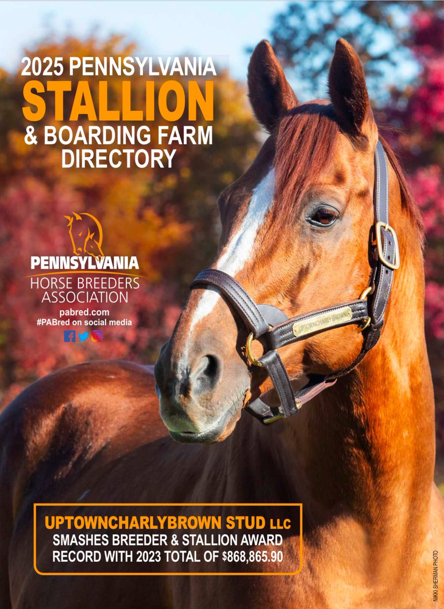PA_PHBA's tweet image. Our 2025 Stallion and Boarding Farm Directory is now available!
Check it out here: bit.ly/3OEPrRy