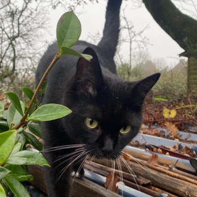 Jean STERN tweet media