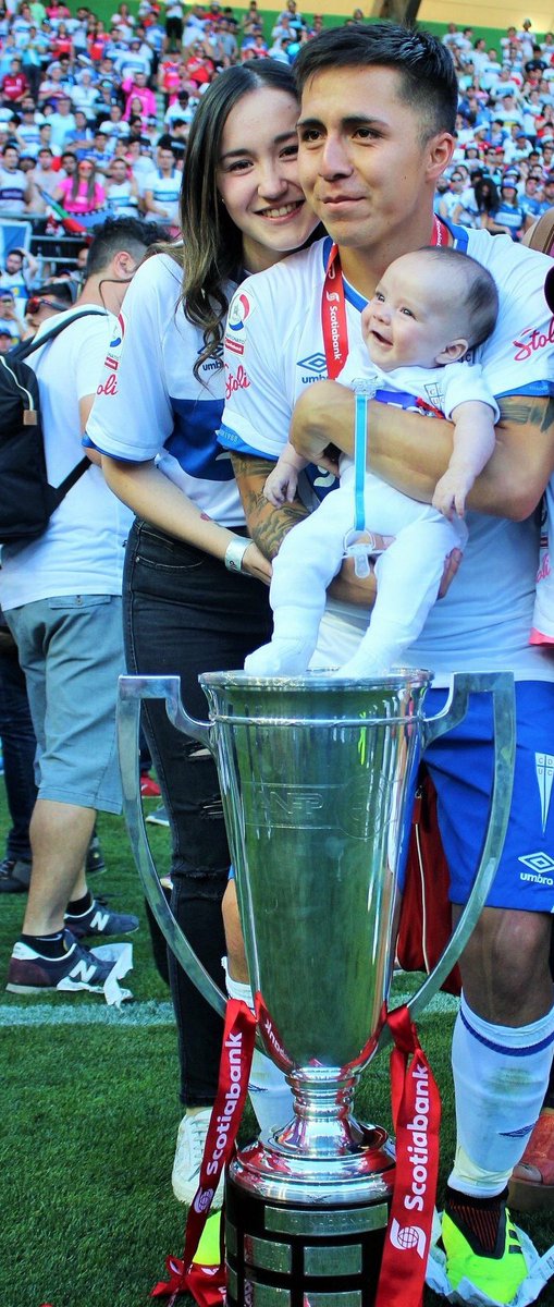 Isidora Sofia Pinto tweet media