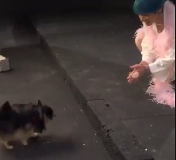 1230ZONE's tweet photo. Thinking about yeontan has been on most of the mv shoot from 2017 to his solo era and has probably seen him  grow and rise to stardom :((((( https://t.co/tWUu4dbbTZ