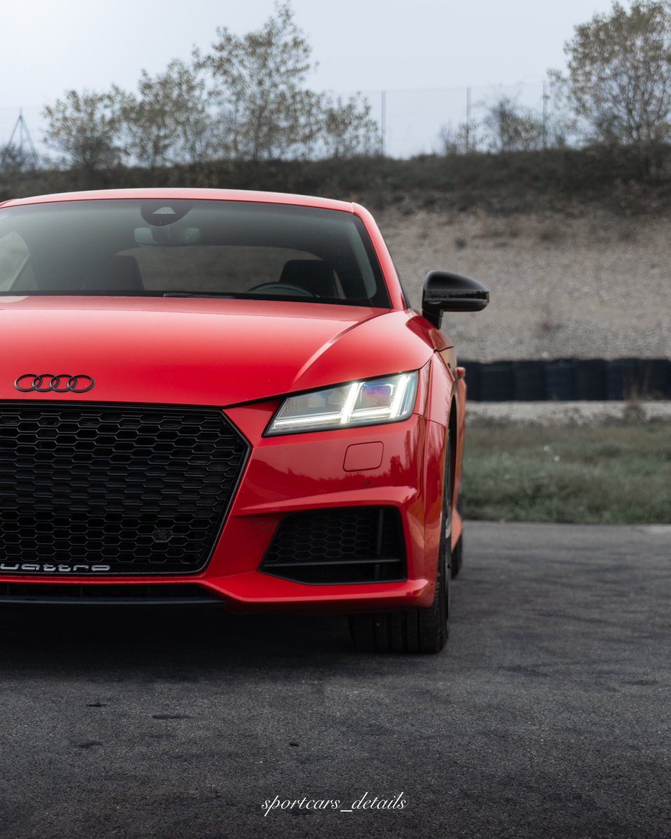 Lewis Stz tweet media